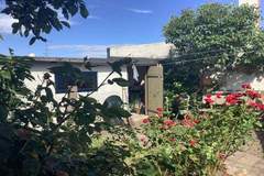 Ferienhaus - Ferienunterkunft in Allinge (6 Personen)