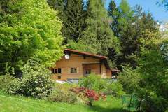 Ferienhaus - Ferienhaus Schneider Rinchnach 70 qm - Ferienhaus in Rinchnach (4 Personen)