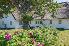 Ferienhaus - Ferienunterkunft in Bredebro (7 Personen)