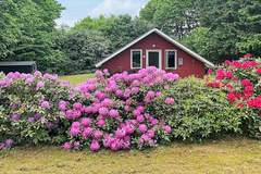 Ferienhaus - Ferienunterkunft in Toftlund (6 Personen)