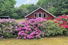 Ferienhaus - Ferienhaus in Toftlund (6 Personen)