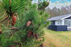 Ferienhaus - Ferienunterkunft in Hals (5 Personen)