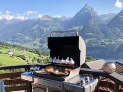 Ferienwohnung - Ferienwohnung Penthouse Brugg