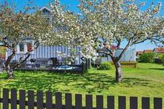 Ferienhaus - Ferienunterkunft in Visby (6 Personen)