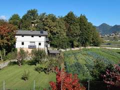 Ferienwohnung - Ferienwohnung Angeli