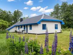 Ferienhaus - Ferienhaus Ema - 5km from the sea