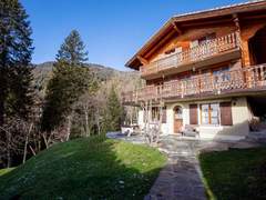 Ferienhaus - Ferienhaus, Chalet Chalet Tetras