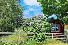 Ferienhaus - Ferienhaus in Gotlands Tofta (4 Personen)