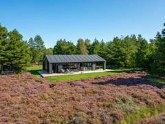 Ferienhaus - Ferienhaus Tea - 2.7km from the sea