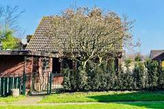 Ferienhaus - Familiehuis in Noordwijkerhout - Ferienhaus in Noordwijkerhout (4 Personen)