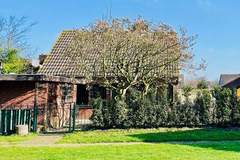 Ferienhaus - Familiehuis in Noordwijkerhout - Ferienunterkunft in Noordwijkerhout (4 Personen)