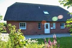 Ferienhaus - Ferienunterkunft in Westerhever (4 Personen)