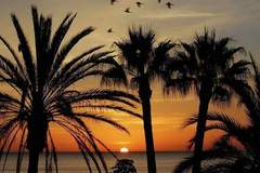 Ferienhaus - Avenida Europa - Ferienunterkunft in Malaga (5 Personen)