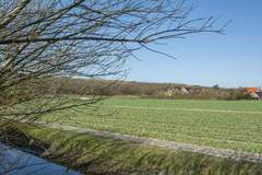Ferienwohnung - Résidence Juliana 53 - Ferienunterkunft in Julianadorp aan Zee (4 Personen)