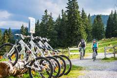 Ferienhaus - Almdorf Hohentauern 53 - Ferienunterkunft in Hohentauern (6 Personen)