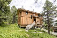 Ferienhaus - Alpenpark Turrach 37 - Ferienunterkunft in Turracher Höhe (13 Personen)