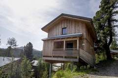 Ferienhaus - Alpenpark Turrach 40 - Ferienunterkunft in Turracher Höhe (10 Personen)