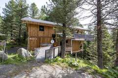 Ferienhaus - Alpenpark Turrach 42 - Ferienunterkunft in Turracher Höhe (12 Personen)