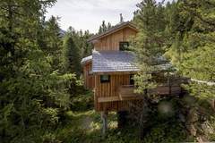 Ferienhaus - Alpenpark Turrach 49 - Ferienunterkunft in Turracher Höhe (10 Personen)