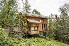 Ferienhaus - Alpenpark Turrach 12 - Ferienunterkunft in Turracher Höhe (9 Personen)