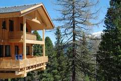 Ferienhaus - Alpenpark Turrach 13 - Ferienunterkunft in Turracher Höhe (10 Personen)