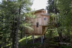 Ferienhaus - Alpenpark Turrach 20 - Ferienunterkunft in Turracher Höhe (10 Personen)