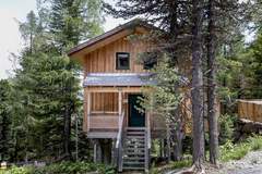 Ferienhaus - Alpenpark Turrach 22 - Ferienunterkunft in Turracher Höhe (10 Personen)