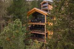 Ferienhaus - Naturchalets Turracher Höhe 18 - Ferienunterkunft in Turrach (8 Personen)