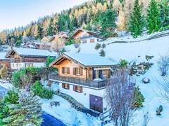 Ferienhaus - Ferienhaus, Chalet Chalet Soleil