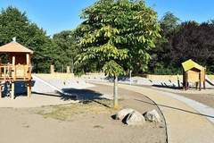 Ferienhaus - Ferienunterkunft in Großenbrode (8 Personen)