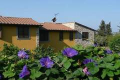 Ferienhaus - Ferienunterkunft in Castagneto Carducci (4 Personen)