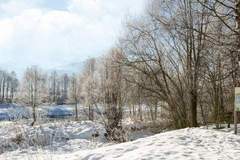 Bungalow in Kitzbühel - Ferienunterkunft in Kirchdorf in Tirol (4 Personen)