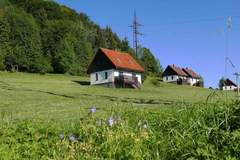 Ferienhaus - Green Valley Park 1 - Ferienunterkunft in Starkov (8 Personen)