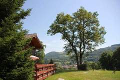 Ferienhaus - Les Chalets des Ayes 9 - Ferienunterkunft in Le Thillot (8 Personen)