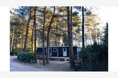 Ferienhaus - Boomklever - Ferienunterkunft in Wechelderzande (Lille) (4 Personen)