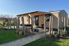 Ferienhaus - Resort Beachside 3 - Ferienunterkunft in Blankenberge (4 Personen)