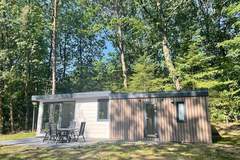 Ferienhaus - Chalet Nachtegaal (4 personen) - Ferienunterkunft in Beekbergen (4 Personen)