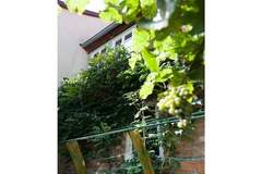 Ferienhaus - Ferienunterkunft in Quedlinburg (4 Personen)