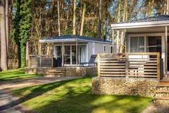 Ferienhaus - Resort Hoge Kempen 9 - Ferienunterkunft in Zutendaal (4 Personen)