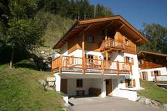 Ferienhaus - Chalets im Wald - Ferienunterkunft in Wald im Pingzau (12 Personen)