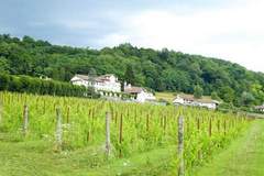 Ferienwohnung - Appartamento Merlot - Ferienunterkunft in Santa Giustina (4 Personen)