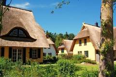 Ferienhaus - Ferienhaus Küstenwald groß - Strandhotel Fischland - Ferienunterkunft in Dierhagen (6 Personen)