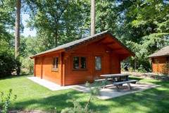 Ferienhaus - Resort De Utrechtse Heuvelrug 5 - Ferienunterkunft in Maarn (4 Personen)
