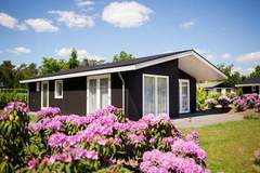 Ferienhaus - Vakantiepark Molenvelden 1 - Ferienunterkunft in Veldhoven (6 Personen)