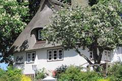 Ferienhaus - Ferienunterkunft in Kappeln (6 Personen)