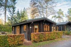 Ferienhaus - Resort De Wije Werelt 5 - Ferienunterkunft in Otterlo (5 Personen)