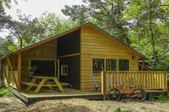 Ferienhaus - Resort Ruinen 4 - Ferienunterkunft in Ruinen (10 Personen)