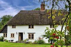 Ferienhaus - The Thatch at Winterborne Houghton - Ferienunterkunft in Winterborne Houghton (6 Personen)