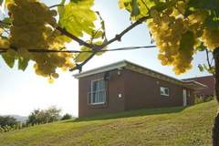 Ferienhaus - Ferienunterkunft in Fehring (5 Personen)