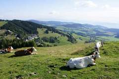 Ferienhaus - Ferienunterkunft in St.Urban (6 Personen)